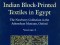 Indian Block-Printed Textiles in Egypt: The Newberry Collection in the Ashmolean Museum, Oxford