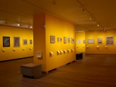 Special Exhibitions Gallery 3 - Visions of Mughal India exhibition. &copy; Ashmolean Museum, University of Oxford