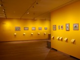 Special Exhibitions Gallery 3 - Visions of Mughal India exhibition. &copy; Ashmolean Museum, University of Oxford