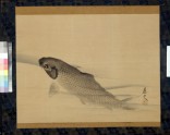 Carp swimming in clear water (EA1973.144)