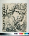 Tree and rocks (EAX.1244)