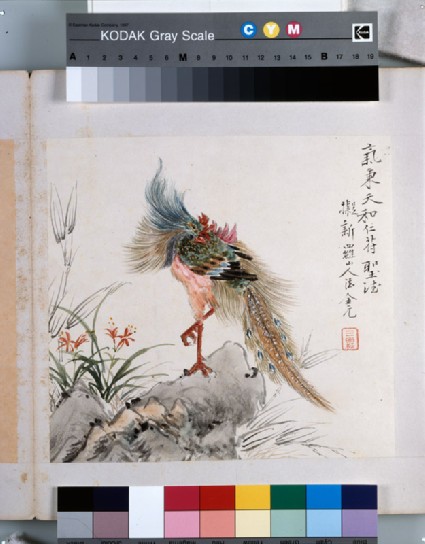 A phoenix standing on a rockfront