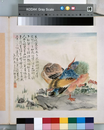 A pair of Mandarin ducksfront