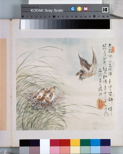 A bird carrying food in its mouthfront