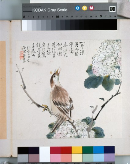 A Chinese Hwameifront