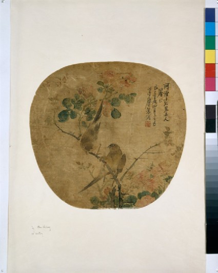 Birds on a flowering branchfront