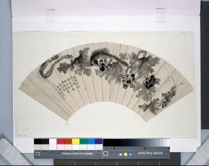 Immortals on wavesfront