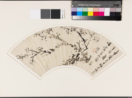 Blossoming plum treefront