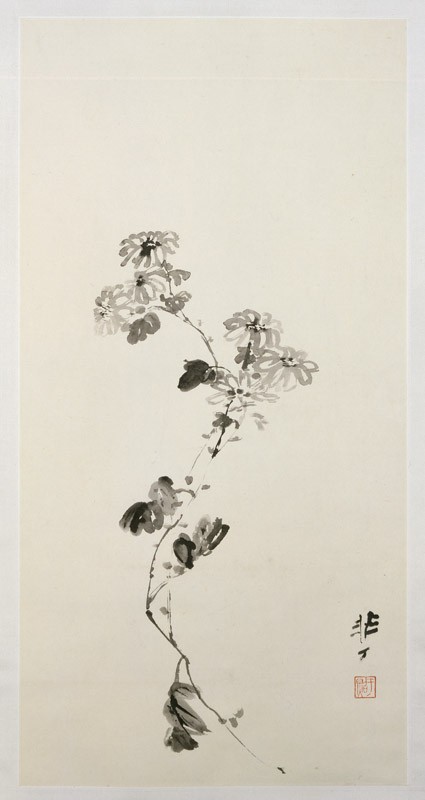 Chrysanthemum sprayfront