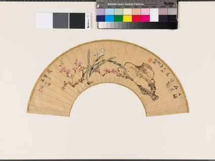 Plum, narcissus, and rockfront