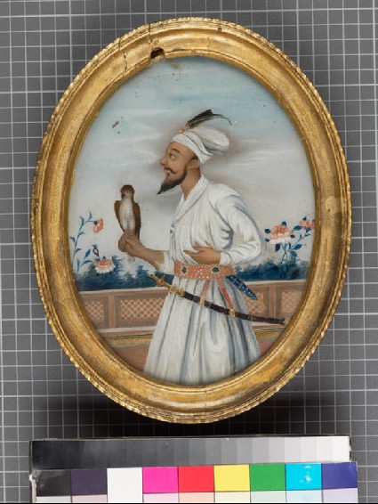 Bearded man with a falconfront