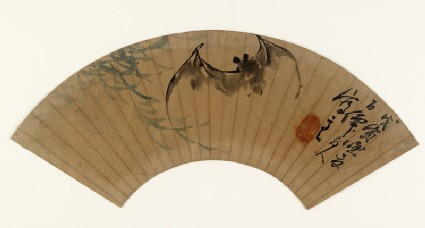 Bat and willow treefront