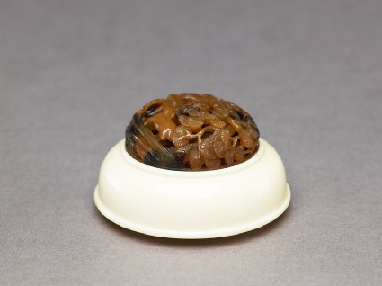 Cricket cage lid with landscapeoblique