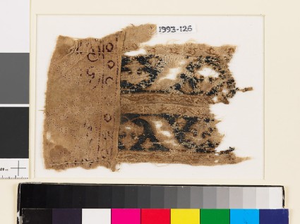 Textile fragment with bands of palmettes and leavesfront