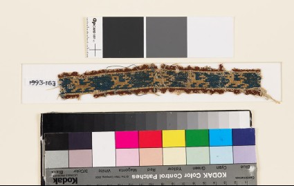 Textile fragment with five lionsfront