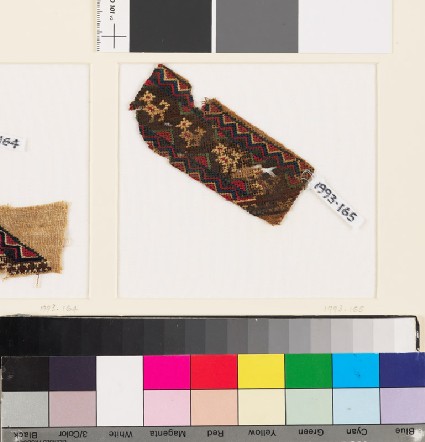 Textile fragment with bands of birdsfront