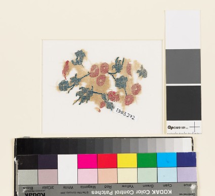 Textile fragment with circular flowers, leaves, and budsfront