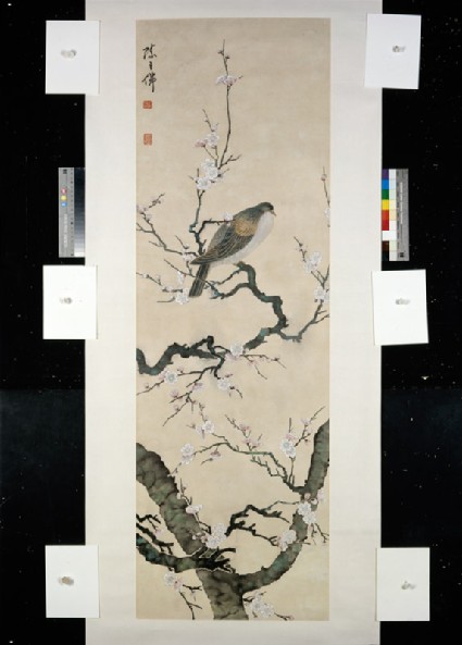 Bird on a branchfront