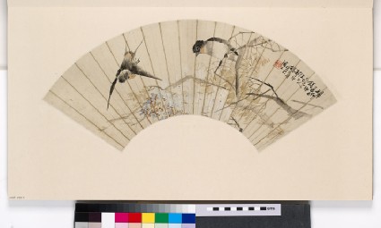 Two swallows among branchesfront