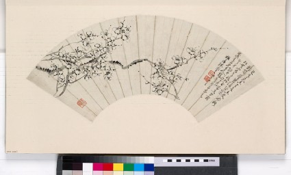 Flowering branchesfront