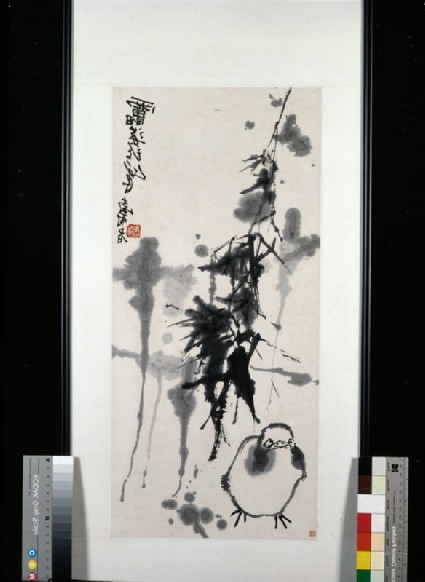 Chick and bamboofront