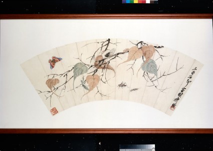 Bodhi leaves and insectsfront