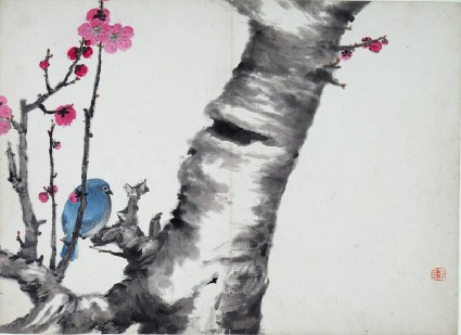 Blue bird sitting on a plum blossom treefront