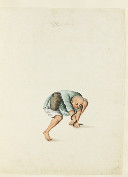 A Serpent-Catcherfront