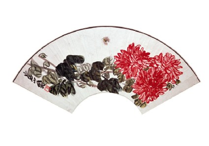 Chrysanthemum and beefront