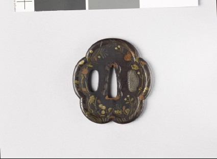 Lobed tsuba with asters and susuki grassfront