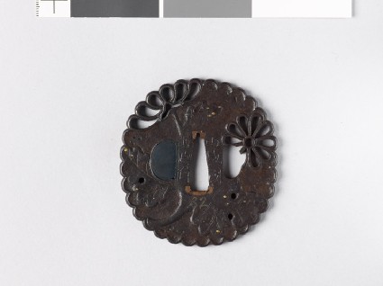 Lobed tsuba with chrysanthemumsfront