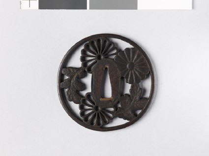 Round tsuba with heraldic chrysanthemum blossomsfront