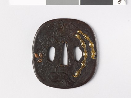 Tsuba with bean plantfront