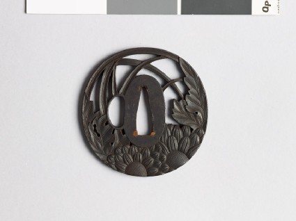 Tsuba with chrysanthemums and grassfront