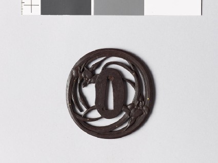 Tsuba with iris plants and dewdropsfront