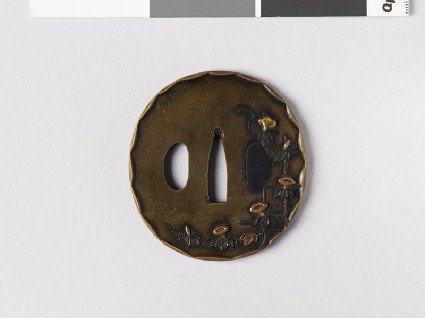 Tsuba depicting asagao, or Convolvulus, on a bamboo trellisfront