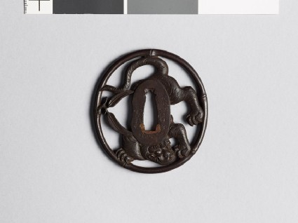 Tsuba with a tiger inside a bamboo rimfront