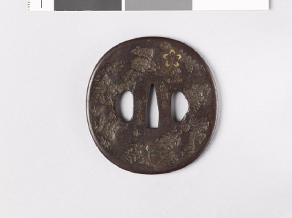 Tsuba with cherry blossomsfront