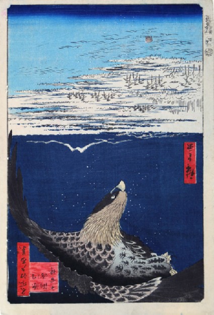 Jūmantsubo Plain at Susaki, near Fukagawafront