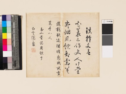 Old Plum Branchfront