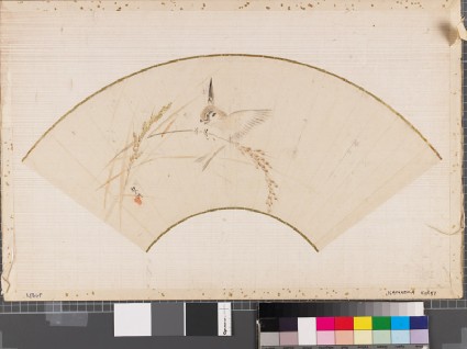 Sparrow and rice earfront