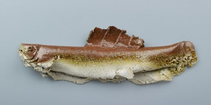 Living World Series: fishfront