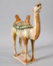 Figure of a camel (oblique)
